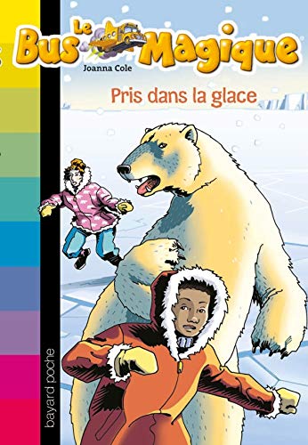 Pris dans la glace